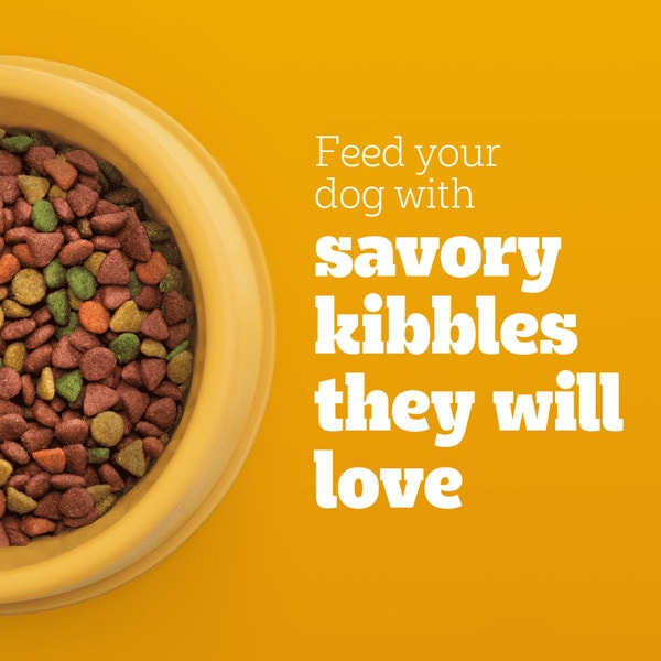 PEDIGREE® Dry Dog Food Small Dog Grilled Steak and Vegetable Flavor image 4