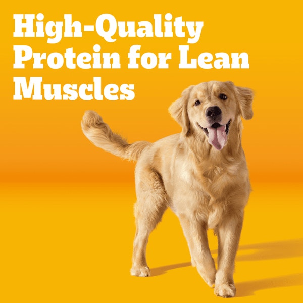 PEDIGREE® Dry Dog Food Adult Roasted Chicken, Rice & Vegetable Flavor image 3