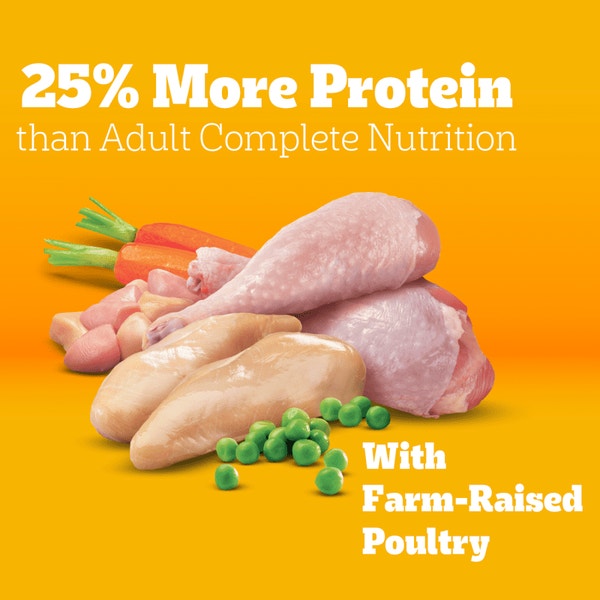PEDIGREE® Dry Dog Food High Protein Chicken and Turkey Flavor image 2