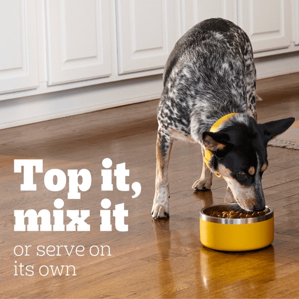 PEDIGREE® Can High Protein Chopped Beef & Bison Flavor image 4