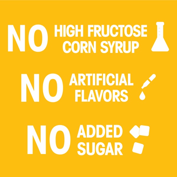 PEDIGREE® Dry Dog Food Adult Roasted Chicken, Rice & Vegetable Flavor image 3