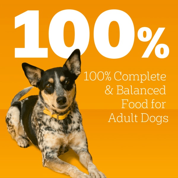 PEDIGREE® Wet Dog Food Weight Management Chicken & Rice Dinner image 4