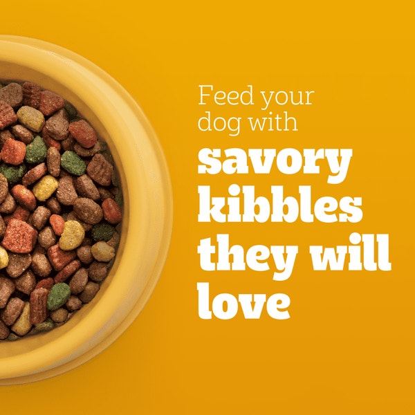 PEDIGREE® Adult Dry Dog Food, Roasted Chicken and Vegetable Flavor with Bacon Flavored Bites image 3