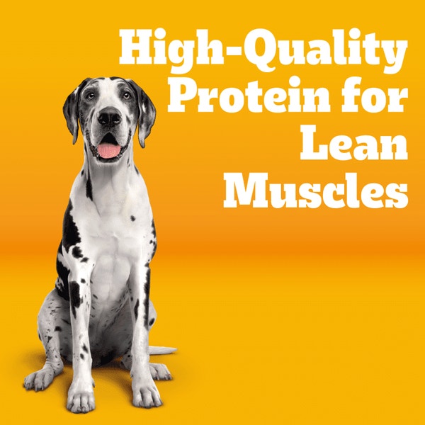 PEDIGREE® Big Dogs Roasted Chicken, Rice & Vegetable Dry Dog Food image 3