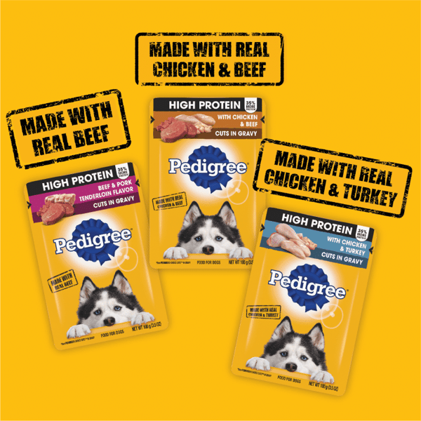 PEDIGREE® High Protein Wet Dog Food Pouches Variety Pack image 3