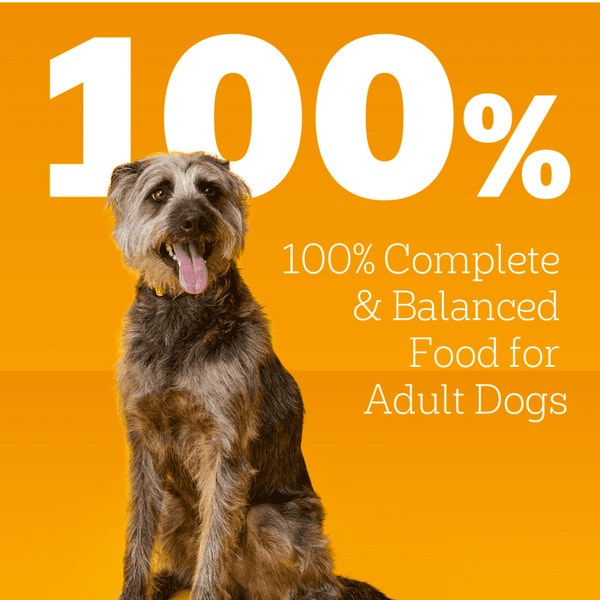 PEDIGREE® CHOICE CUTS™ in Gravy with Beef Wet Dog Food image 5