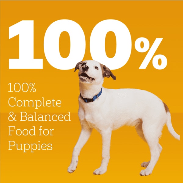 PEDIGREE® PUPPY™  Complete Nutrition - Chopped Ground Dinner with Chicken & Beef Wet Dog Food image 5
