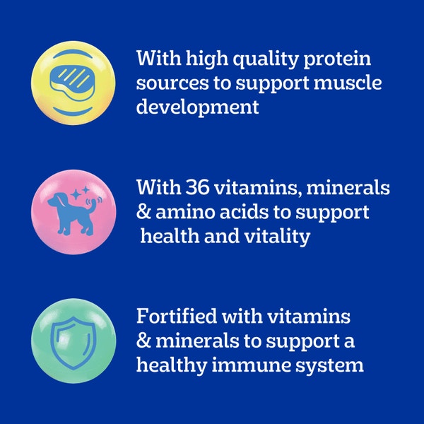 PEDIGREE PUPPY™ Grilled Steak & Vegetable Flavor image 4