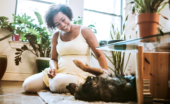 pregnant dog owner playing with medium size breed dog on ground of living room surrounded by sunlight and plants