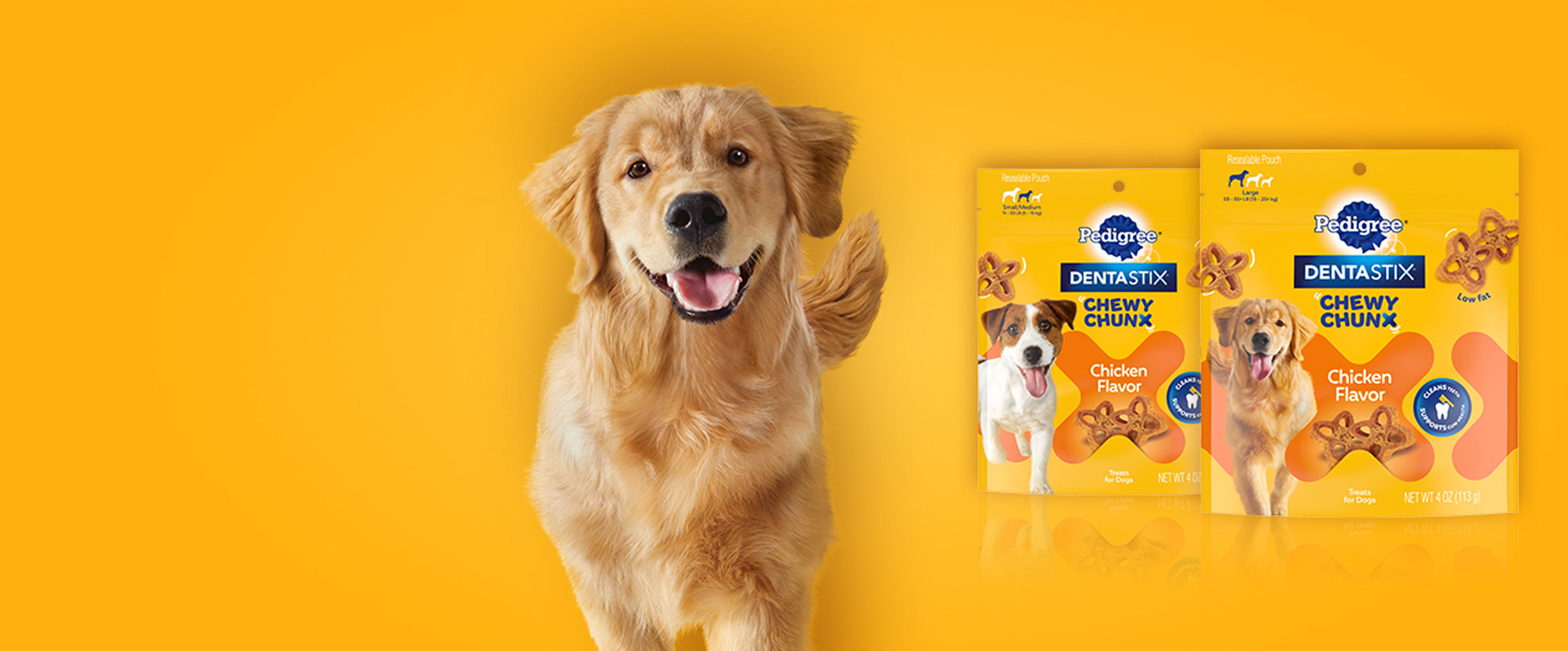 What types of payment does chewy accept? Leia aqui Does Chewy accept