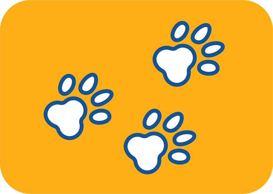 illustration of paw prints