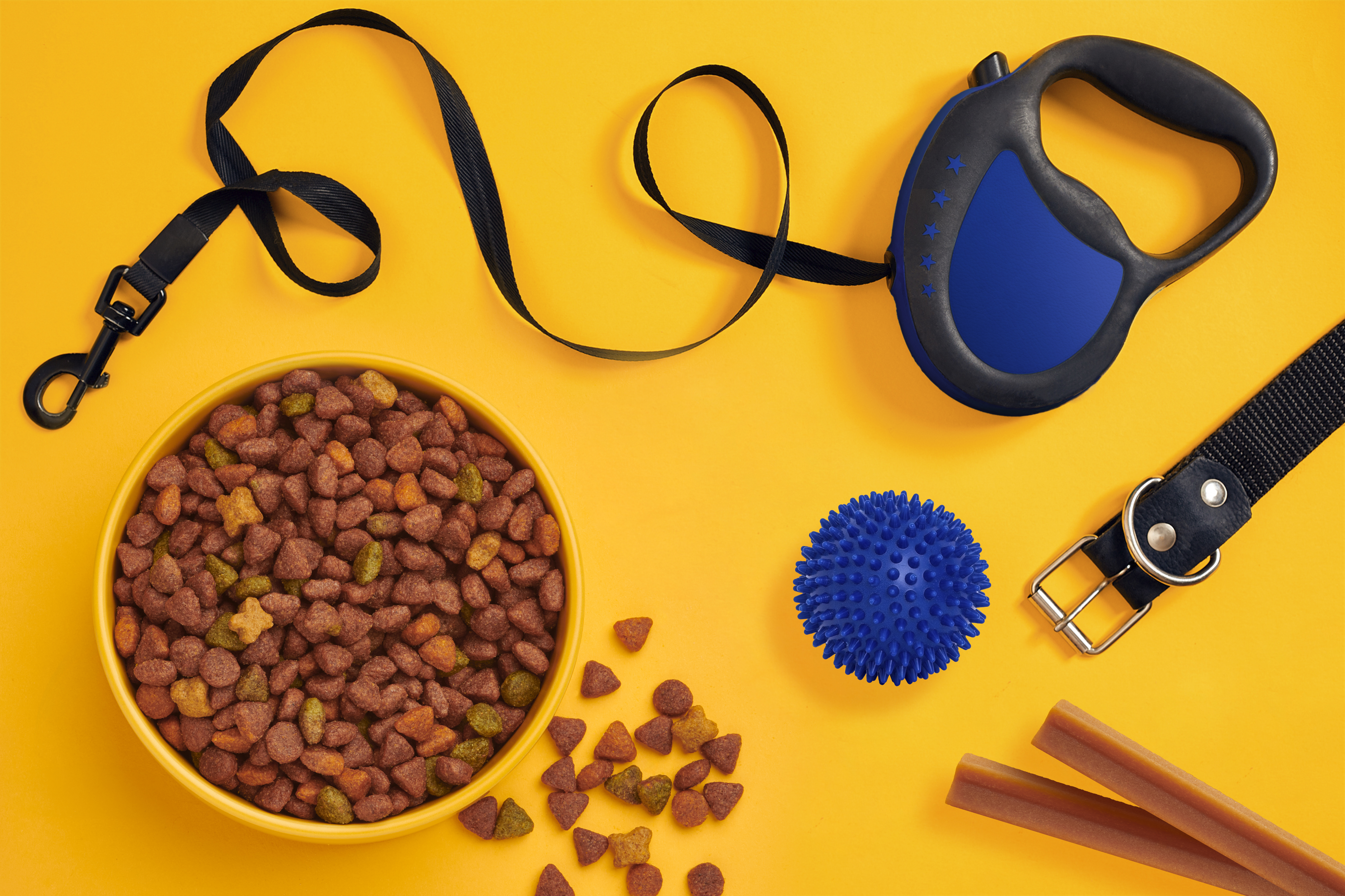 A collection of dog accessories including a lead, ball, toy and treats.