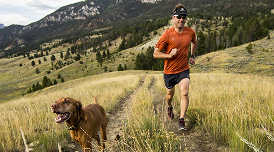 Dog running on mountain trail
