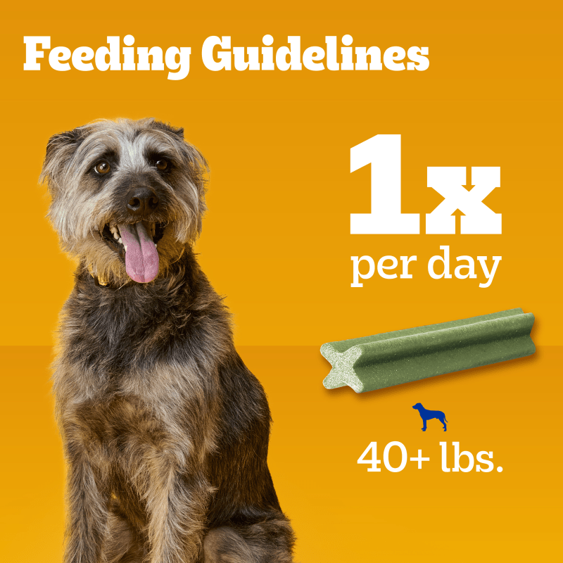PEDIGREE® Dog Treats DENTASTIX™ Fresh Large feeding guidelines image