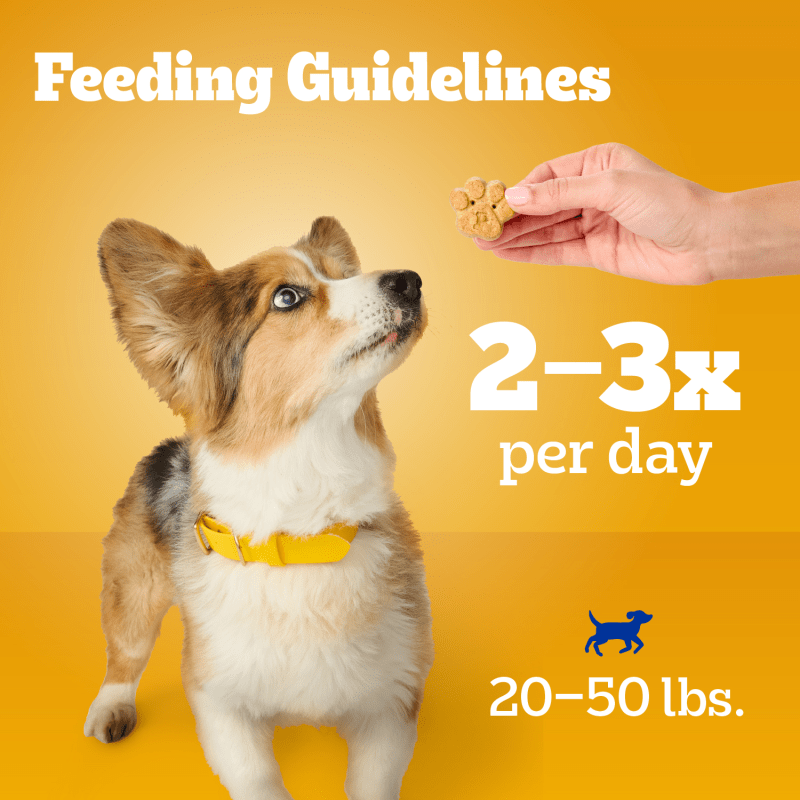 PEDIGREE® Small Tasty Biscuits Dog Treats, Peanut Butter & Bacon Flavor feeding guidelines image